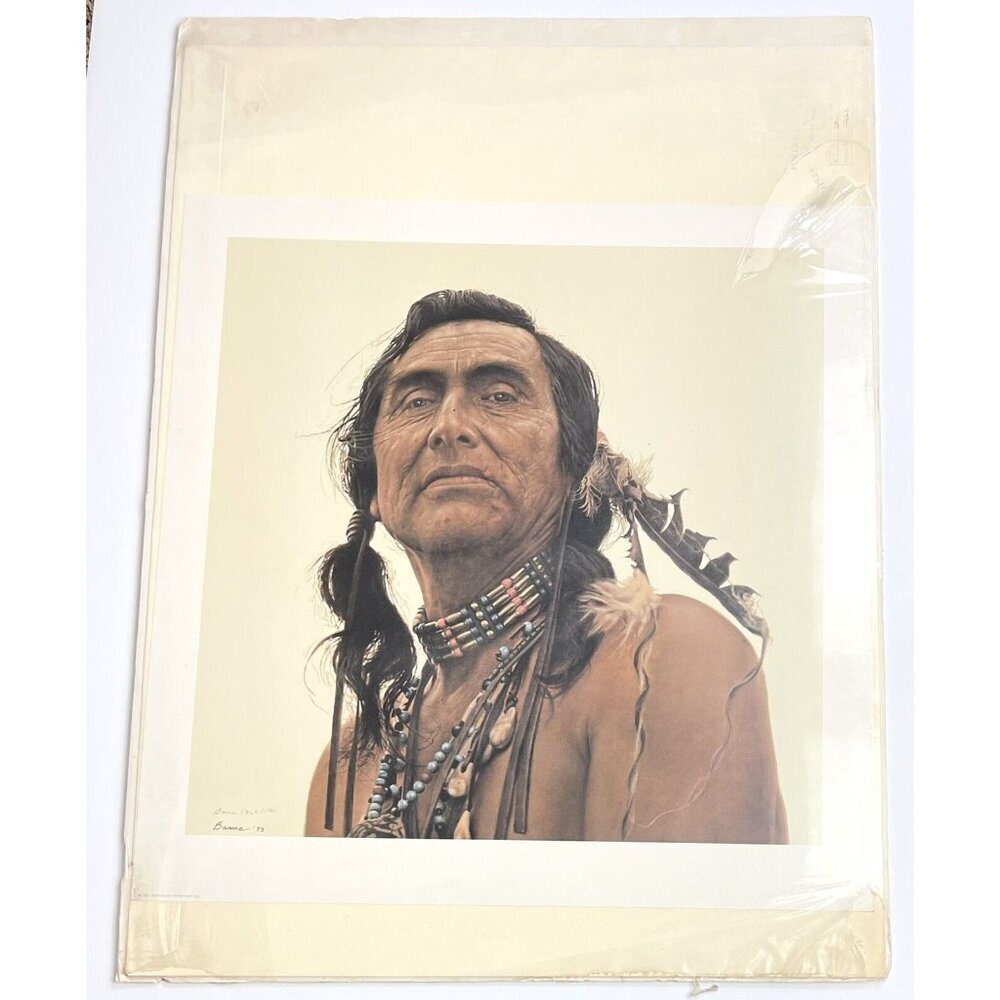 22.5"x23 Limited Edition Numbered Signed PRINT Portrait of a Sioux by JAMES BAMA